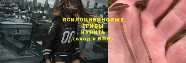 шишки Балабаново