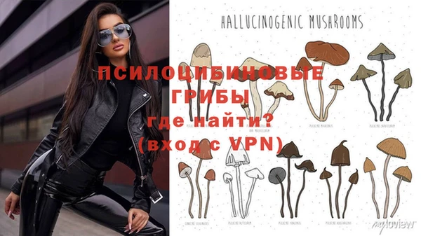 прущая мука Балахна