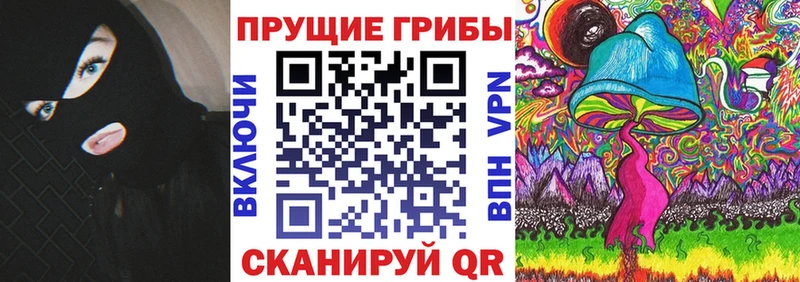 Галлюциногенные грибы Psilocybine cubensis  купить наркоту  Теберда 